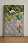 Evenement foto: Nijmeegse Vierdaagse 973