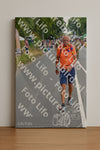 Evenement foto: Nijmeegse Vierdaagse 973