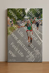 Evenement foto: Nijmeegse Vierdaagse 973