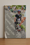 Evenement foto: Nijmeegse Vierdaagse 973