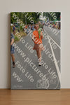 Evenement foto: Nijmeegse Vierdaagse 973