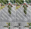 Evenement foto: Nijmeegse Vierdaagse 973