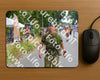Evenement foto: Nijmeegse Vierdaagse 973