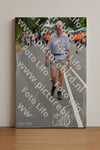 Evenement foto: Nijmeegse Vierdaagse 973
