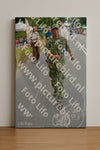 Evenement foto: Nijmeegse Vierdaagse 973