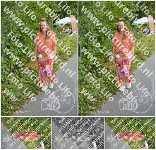 Evenement foto: Nijmeegse Vierdaagse 973