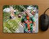 Evenement foto: Nijmeegse Vierdaagse 973