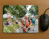 Evenement foto: Nijmeegse Vierdaagse 973