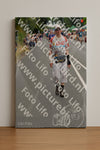 Evenement foto: Nijmeegse Vierdaagse 973