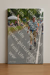 Evenement foto: Nijmeegse Vierdaagse 973
