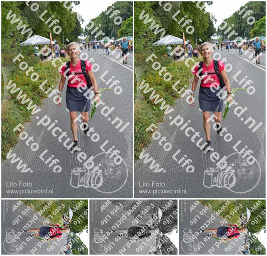 Evenement foto: Nijmeegse Vierdaagse 973