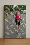 Evenement foto: Nijmeegse Vierdaagse 973