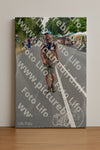 Evenement foto: Nijmeegse Vierdaagse 973