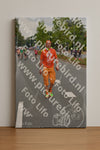 Evenement foto: Nijmeegse Vierdaagse 972