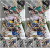 Evenement foto: Nijmeegse Vierdaagse 972