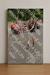 Evenement foto: Nijmeegse Vierdaagse 972