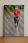 Evenement foto: Nijmeegse Vierdaagse 972