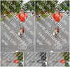 Evenement foto: Nijmeegse Vierdaagse 972