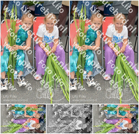 Evenement foto: Nijmeegse Vierdaagse 972