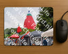 Evenement foto: Nijmeegse Vierdaagse 972