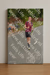 Evenement foto: Nijmeegse Vierdaagse 972
