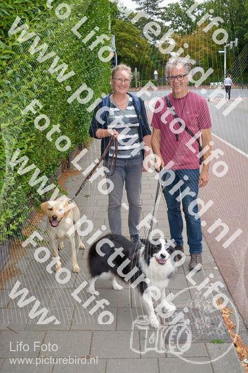 Evenement foto: Nijmeegse Vierdaagse 971
