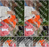 Evenement foto: Nijmeegse Vierdaagse 971