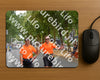 Evenement foto: Nijmeegse Vierdaagse 971