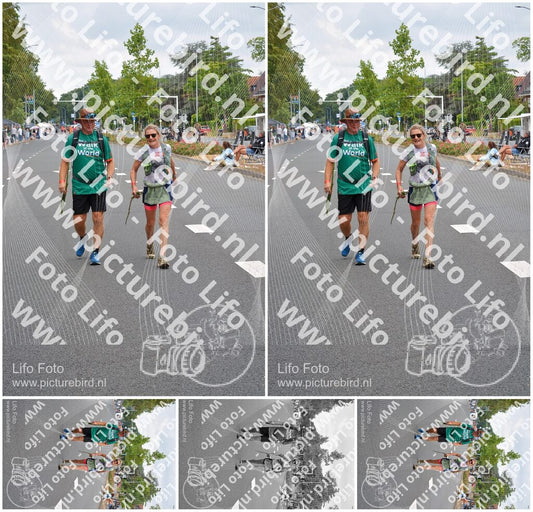 Evenement foto: Nijmeegse Vierdaagse 971