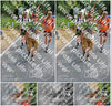 Evenement foto: Nijmeegse Vierdaagse 1102