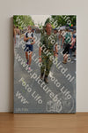 Evenement foto: Nijmeegse Vierdaagse 1102