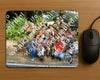 Evenement foto: Nijmeegse Vierdaagse 1102