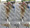 Evenement foto: Nijmeegse Vierdaagse 1102
