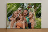 Evenement foto: Nijmeegse Vierdaagse 1102