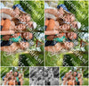 Evenement foto: Nijmeegse Vierdaagse 1102