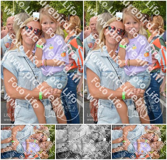 Evenement foto: Nijmeegse Vierdaagse 1102