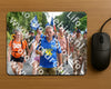 Evenement foto: Nijmeegse Vierdaagse 1101