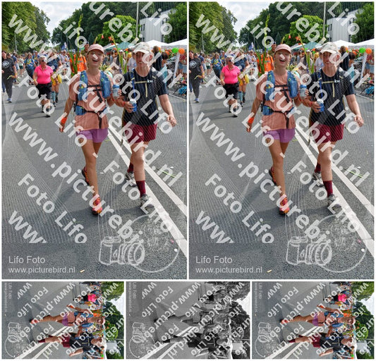 Evenement foto: Nijmeegse Vierdaagse 1101