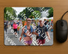 Evenement foto: Nijmeegse Vierdaagse 1101