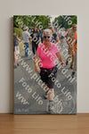 Evenement foto: Nijmeegse Vierdaagse 1101