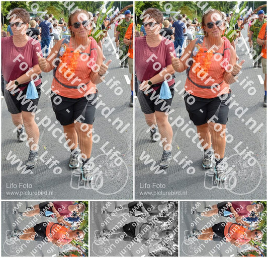 Evenement foto: Nijmeegse Vierdaagse 1101