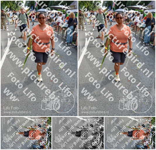 Evenement foto: Nijmeegse Vierdaagse 1101