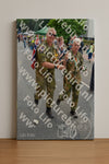 Evenement foto: Nijmeegse Vierdaagse 1101