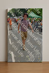 Evenement foto: Nijmeegse Vierdaagse 1101