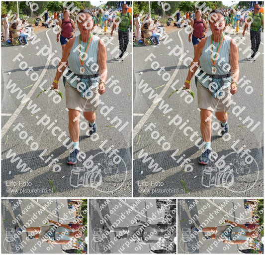 Evenement foto: Nijmeegse Vierdaagse 1101
