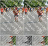 Evenement foto: Nijmeegse Vierdaagse 1101