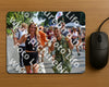 Evenement foto: Nijmeegse Vierdaagse 1101
