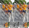 Evenement foto: Nijmeegse Vierdaagse 1100