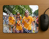 Evenement foto: Nijmeegse Vierdaagse 1100