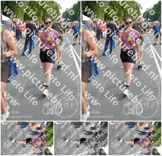 Evenement foto: Nijmeegse Vierdaagse 1100